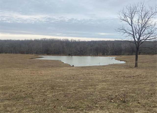Property at 0 CR 160 W-11, Doniphan, MO 63935