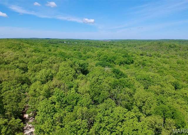 Property at 0 Goose Creek Road, Aka County Road #303, Potosi, MO 63660
