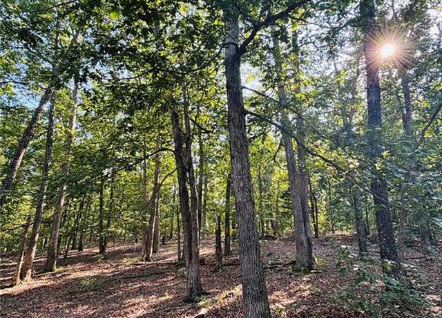 Property at TBD County Road 2330, Salem, MO 65560