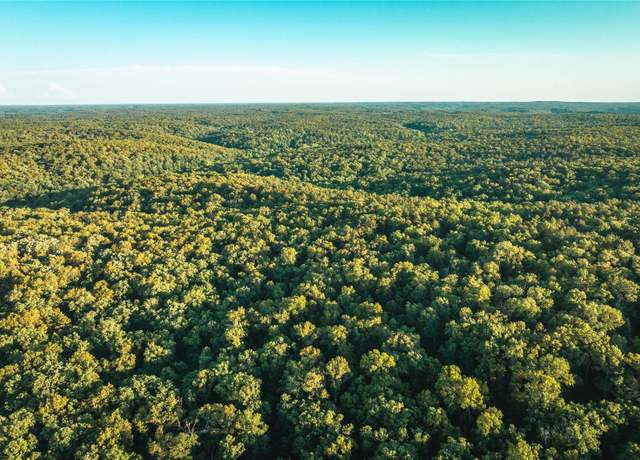 Property at 0 Cedar Ford Tract 2A Rd, Steelville, MO 65565