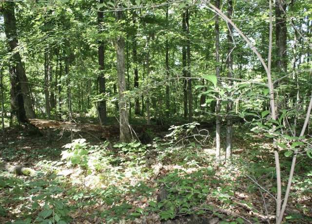 Property at 9 Mattingly, Wappapello, MO 63966