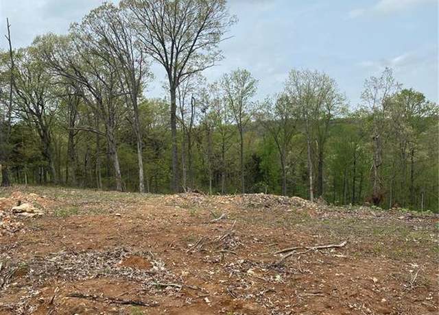 Property at 8819 Helujon Acres Dr, Hillsboro, MO 63050