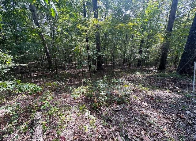 Property at 0 Lot 39, Tomaro Trl, Poplar Bluff, MO 63901