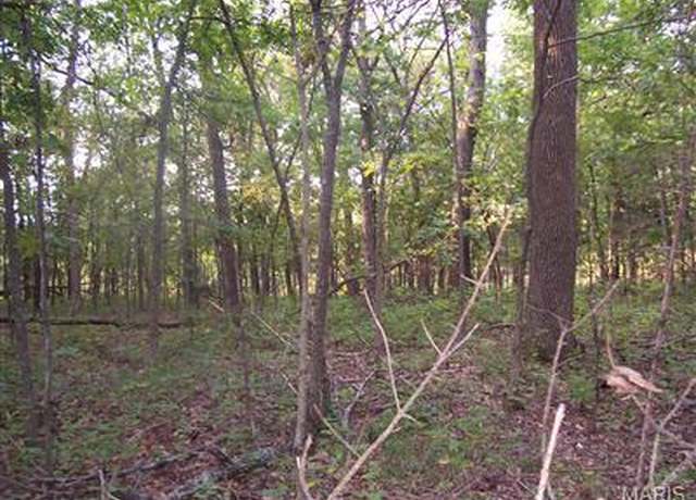 Property at 0 W Outer Rd, Farmington, MO 63640