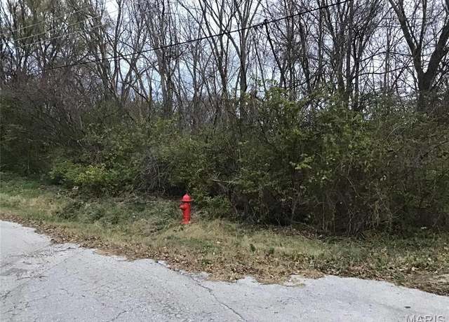 Property at 456 Highway M, Villa Ridge, MO 63089