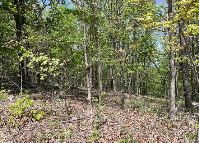 Property at 0 County Road 418, Piedmont, MO 63957
