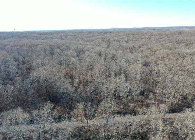 Property at 0 Runnels Dr, Wappapello, MO 63966