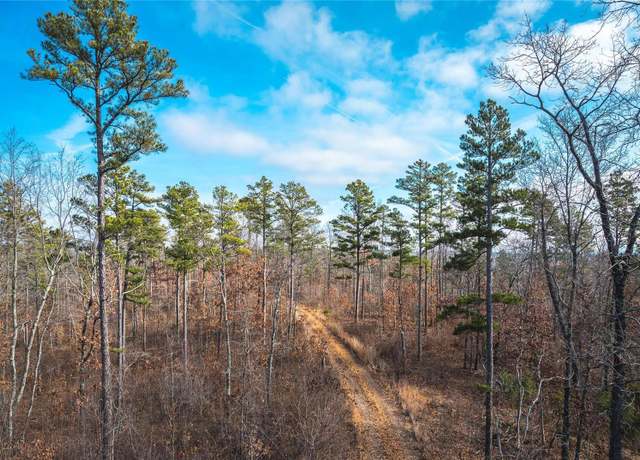Property at 0 Delbridge Rd, Potosi, MO 63664