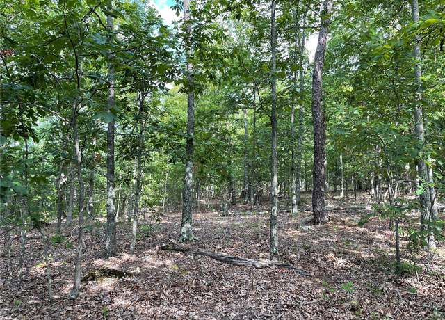 Photo of 0 Co. Rd. 434, Piedmont, MO 63957