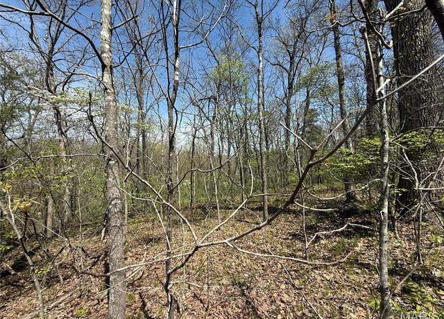 Property at 125 Jabin Farm Rd, Wright City, MO 63390