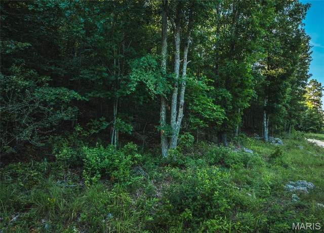 Property at 0 Aldrich Valley Rd, Van Buren, MO 63965