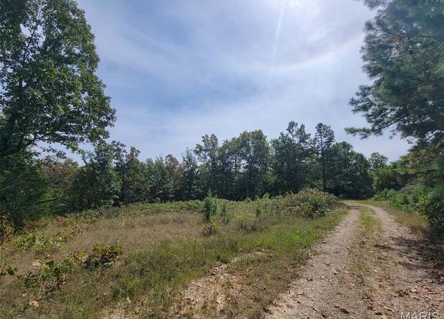 Property at 1 0ff Madison 9519, Fredericktown, MO 63645