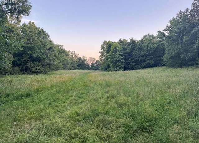Property at Mottled Lane Mottled Ln, Marble Hill, MO 63764