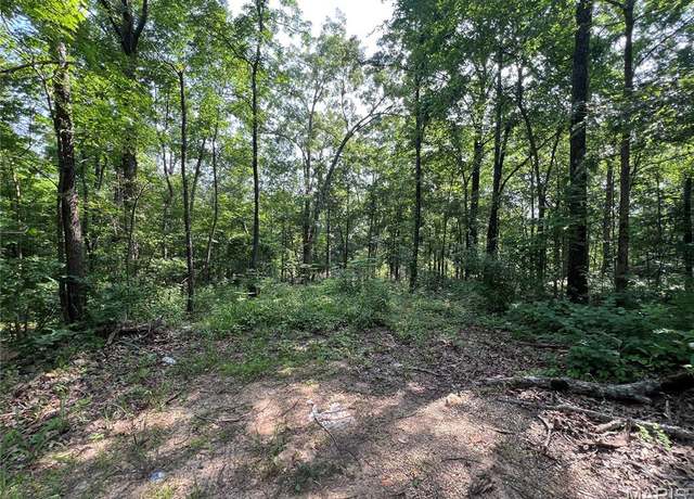 Property at 0 Lakeview Dr, Wappapello, MO 63966