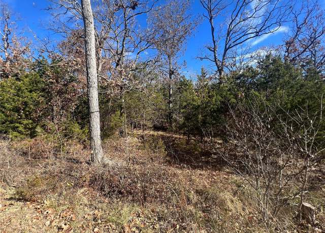 Property at 0 Rue Riviera, Bonne Terre, MO 63628