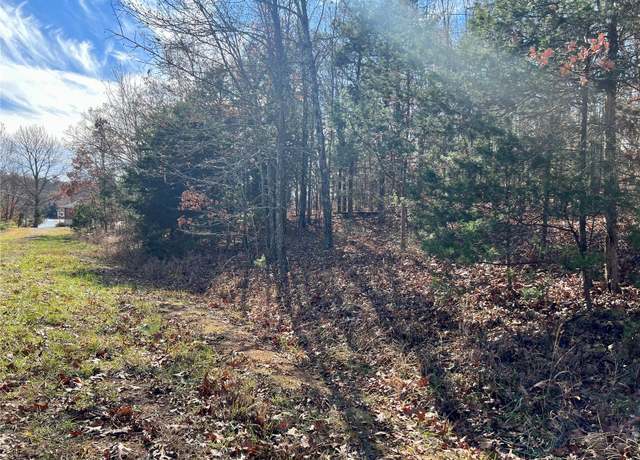 Property at 0 Rue Cheryl, Bonne Terre, MO 63628