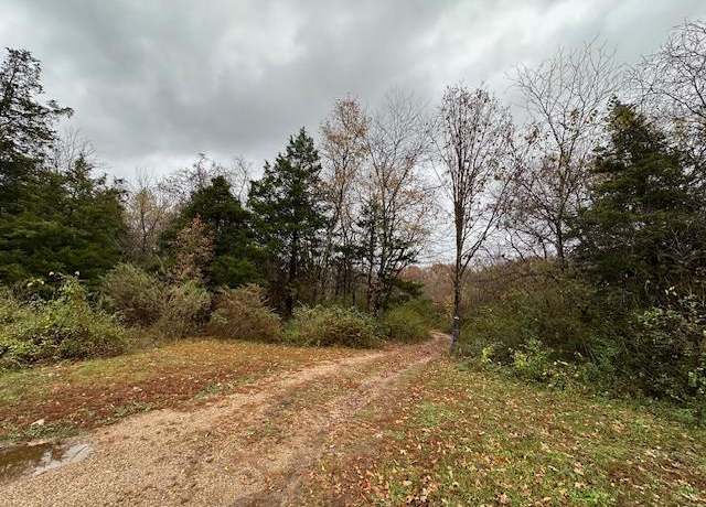 Property at 0 Mary St, Winona, MO 54477