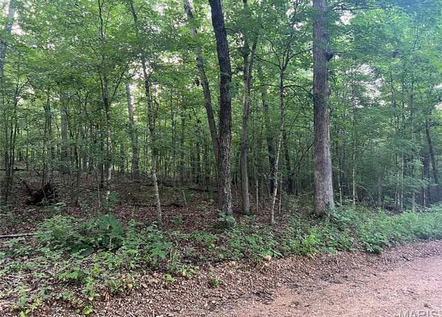 Property at 00 Black River Retreat #3, Piedmont, MO 63957