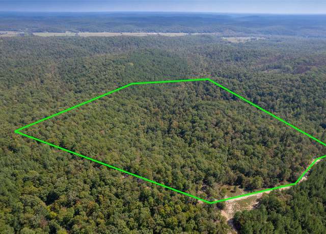 Property at 0 Madison CR 411 (121) #121, Fredericktown, MO 63645