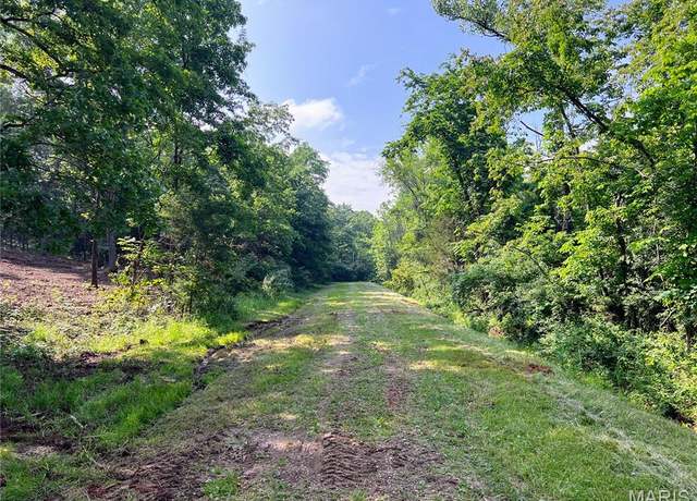 Property at 0 Mimeaux Ct, Bonne Terre, MO 63628
