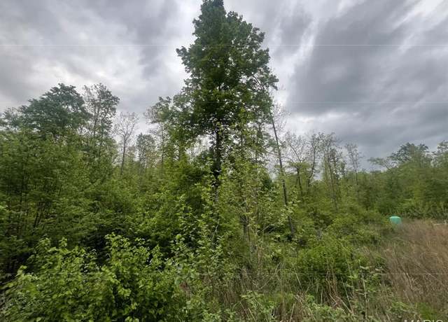 Property at 0 Hidden Valley Lks, Annapolis, MO 63620