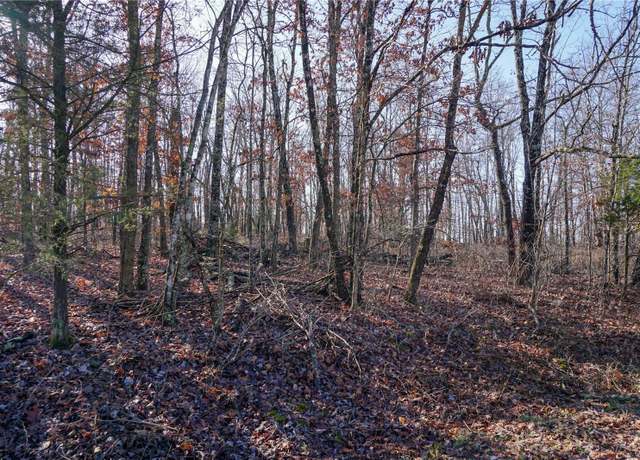 Property at 33551 CR 6510, Beulah, MO 65436