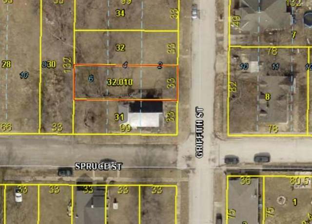 Property at 319 S Griffith St, Hannibal, MO 63401