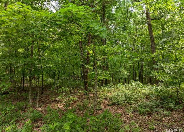 Property at 2528 Alpine Trails Dr, Innsbrook, MO 63390