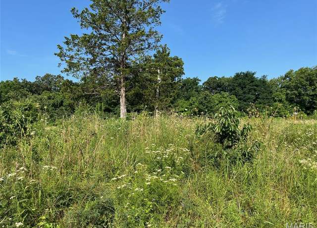 Property at 11870 E State Hwy E, Cadet, MO 63630