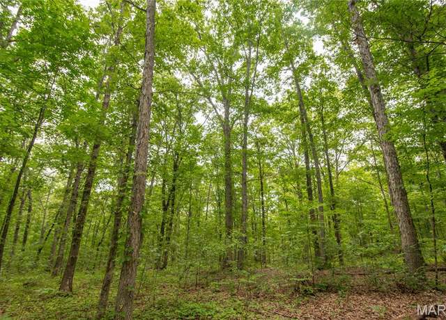 Property at 123 Buttry Ln, Wappapello, MO 63966