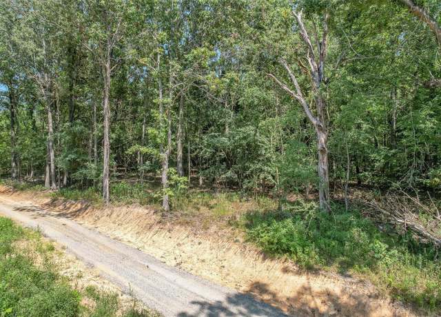 Property at 0 Tract 8c Highway 158, Harviell, MO 63945