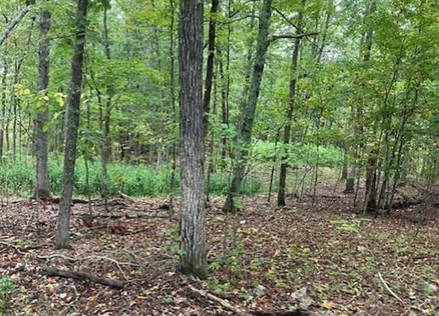 Property at 99 Madison CR 410, Fredericktown, MO 63645