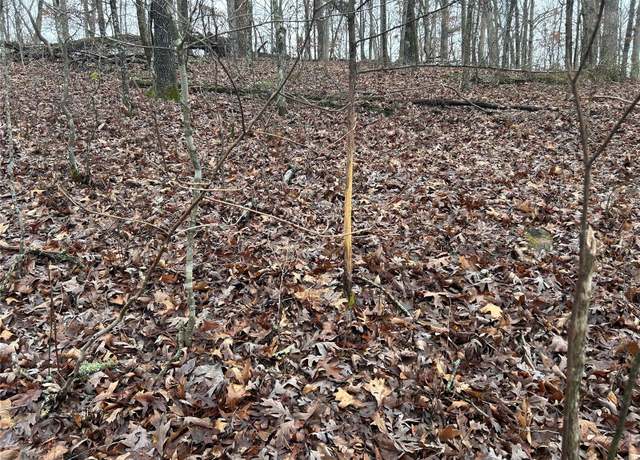 Property at Undisclosed address, Newburg, MO 65550