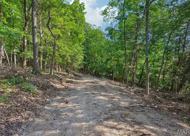 Property at 6300 Franks Rd, Byrnes Mill, MO 63051