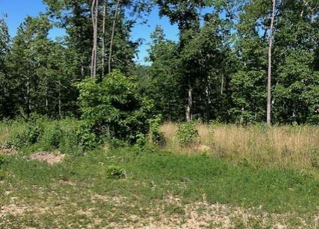 Property at 85 Madison CR 410, Fredericktown, MO 63645