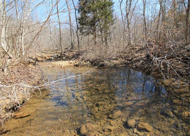 Property at 0 Madison CR 9421 (126) #126, Fredericktown, MO 63645