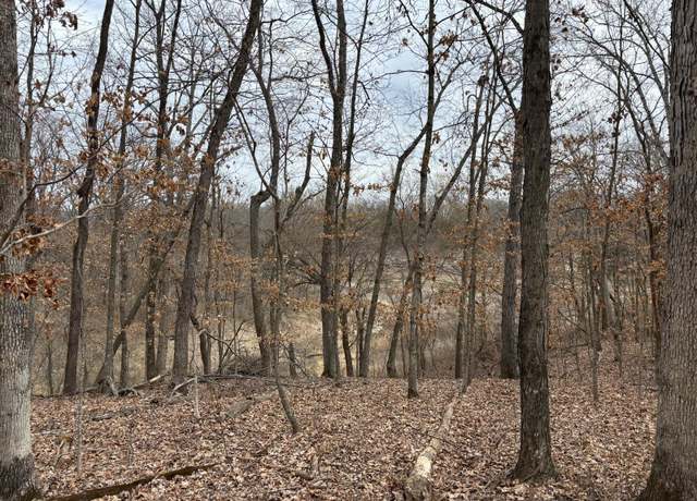 Property at 29 Leo Ln, Perry, MO 63462