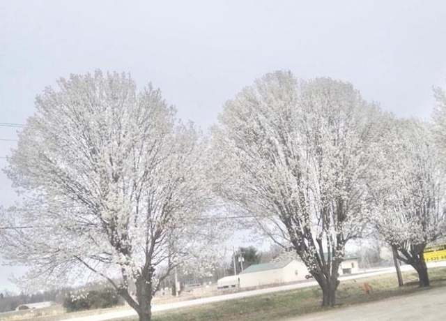 Property at 2040 Hwy B, Poplar Bluff, MO 63901