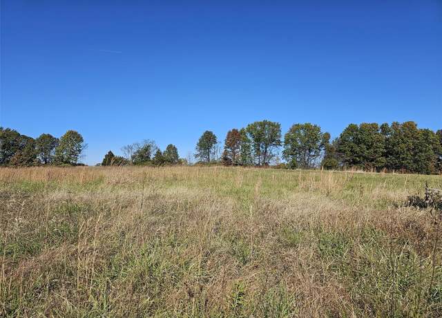 Property at 133 Spoonbill Ln, Foristell, MO 63348