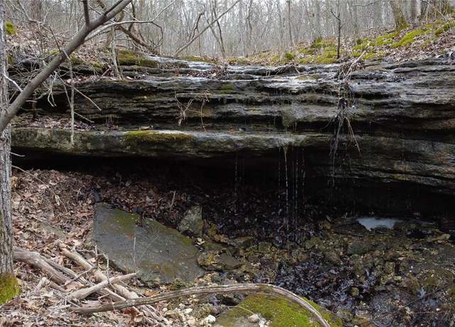 Property at 0 Squaw Creek Rd, Potosi, MO 63664