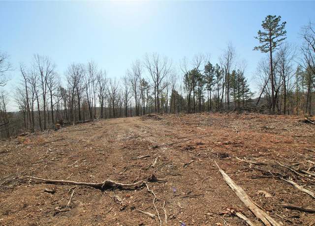 Property at 0 Madison CR 411 (121a) Unit 121a, Fredericktown, MO 63645