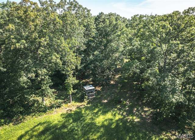 Property at 000 Floyd Tower Rd, Potosi, MO 63664