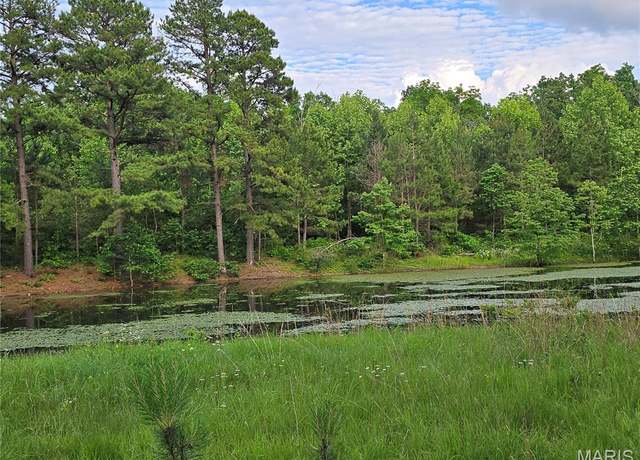 Property at 000 Morton, Houston, MO 65483