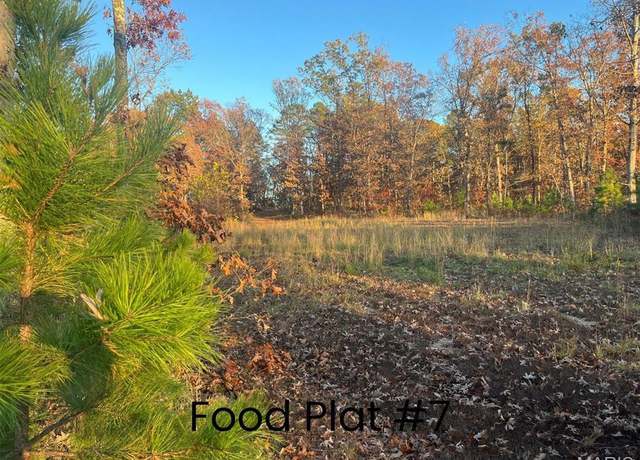 Property at 0 Tract 2 (160+/- Acres) Lodge Rd, Potosi, MO 65441