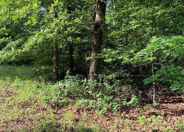 Property at 0 Highway 160w-13, Doniphan, MO 63935