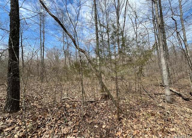 Property at 0 Madison 504, Fredericktown, MO 63645