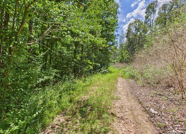 Property at Lot 142 Crestwood Dr, Wappapello, MO 63966