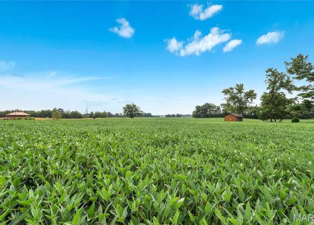 Property at Lot 2 E Back St, Hecker, IL 62248