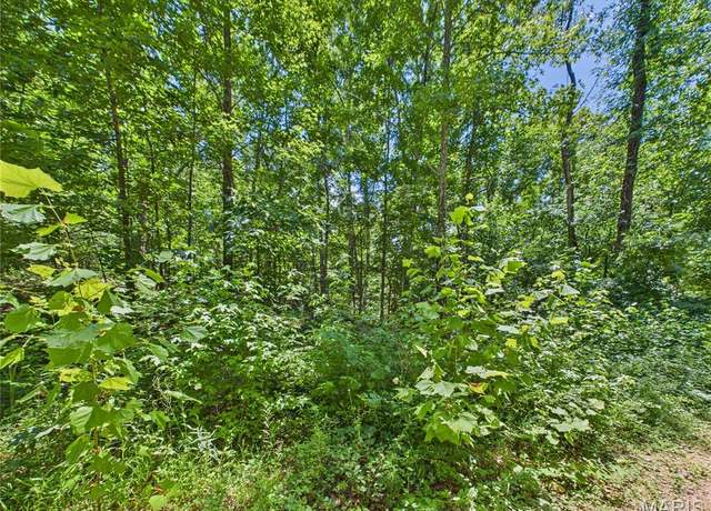 Property at Lot 333 Crestwood Dr, Wappapello, MO 63966