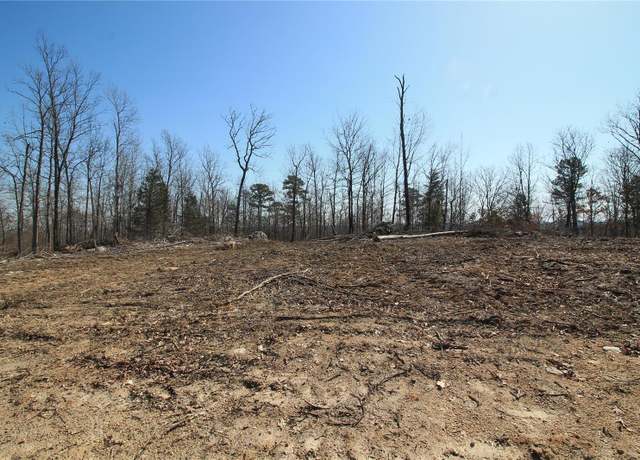 Property at 0 Madison CR 411 (122a) Unit 122a, Fredericktown, MO 63645